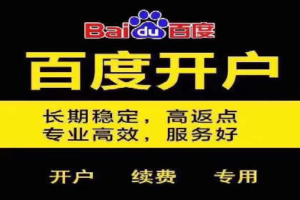 百度竞价，网络创业者的赚钱利器——案例解析